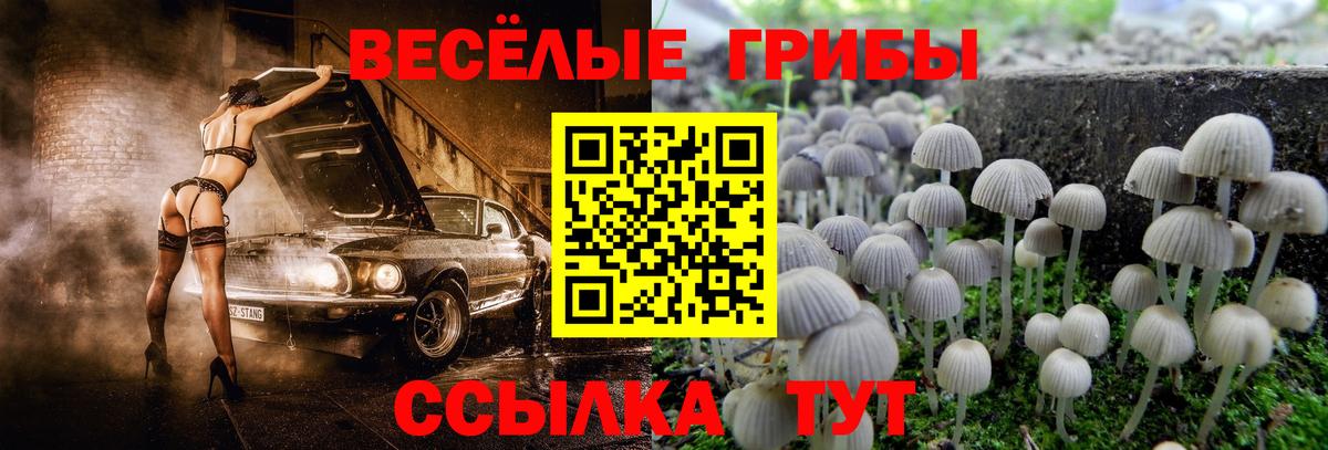 Псилоцибиновые грибы Psilocybine cubensis  Вход с VPN  Псилоцибиновые грибы Cubensis  Звенигород 